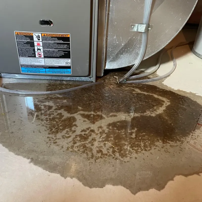 Appliance Leak Cleanup in Littlerock, CA